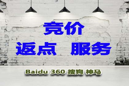 某电商平台的SEM推广实战经验